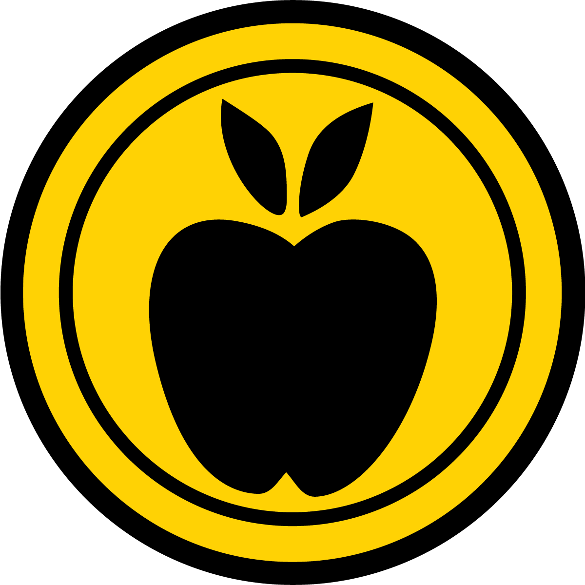 Courses Taught